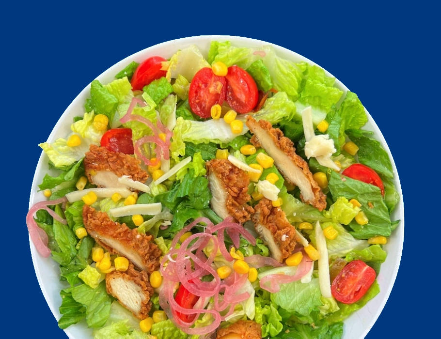 Panko Chicken